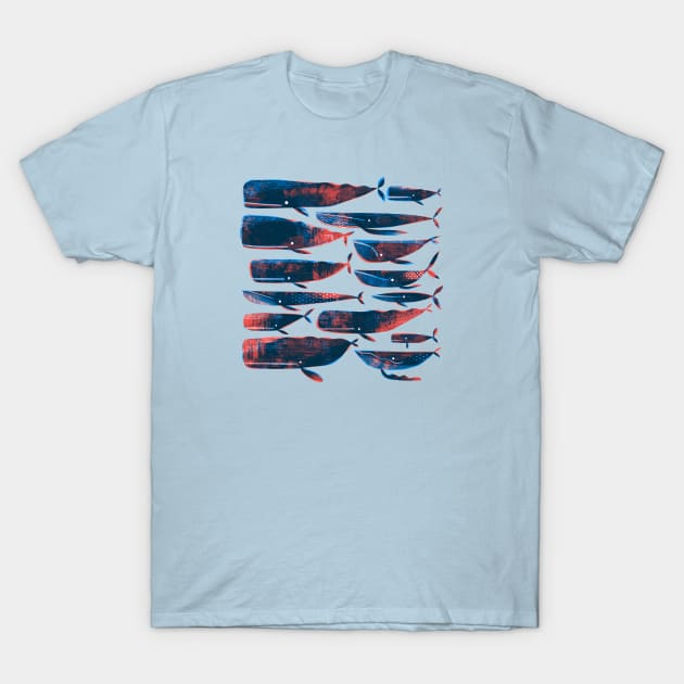 Printed whales T-Shirt by Gareth Lucas